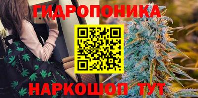 МДПВ Лесосибирск