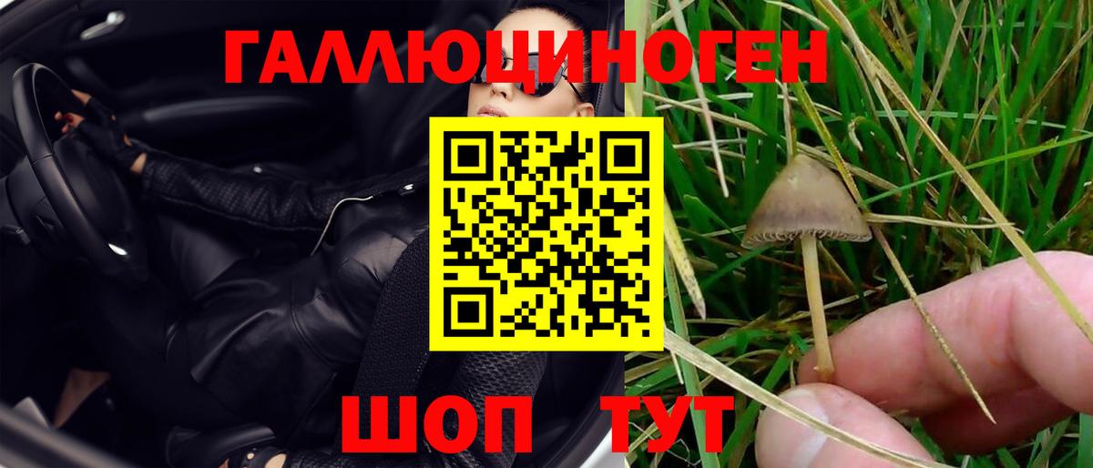 Кудрово  Галлюциногенные грибы MAGIC MUSHROOMS  Галлюциногенные грибы ЛСД  купить   Вход с VPN 