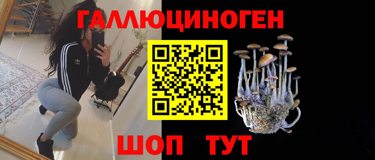 Бошки Шишки  ГАШ  Кудрово  Бошки Шишки  АМФЕТАМИН   МЕТ  ЭКСТАЗИ  Меф кристаллы  Вход с VPN 
